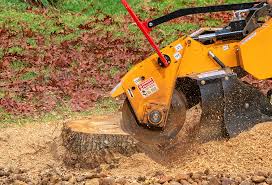 Lawn Watering Services in Three Oaks, FL